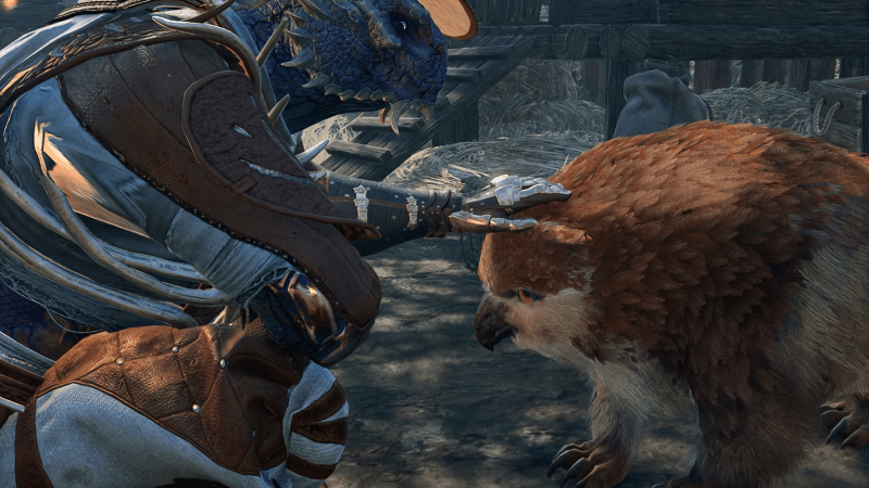 Как получить совомедвежонка и где его найти в Baldur's Gate 3