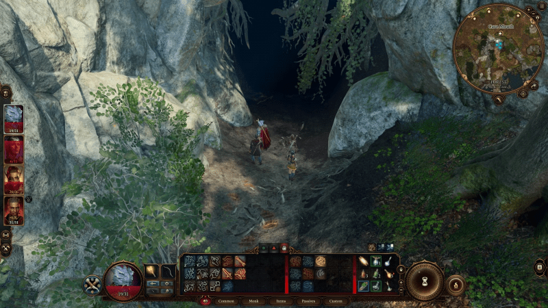 Как получить совомедвежонка и где его найти в Baldur's Gate 3